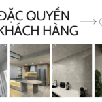 SƠN HIỆU ỨNG TSE DECOR & 6 ĐẶC QUYỀN KHÁCH HÀNG