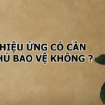 Có cần lớp phủ bảo vệ sơn hiệu ứng không ?